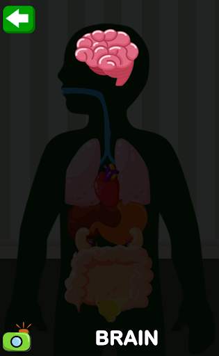 Body Parts for Kids screenshot 8