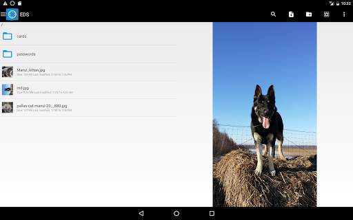 EDS Lite screenshot 8