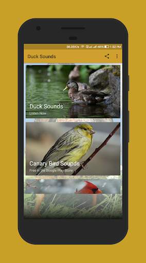 Duck Sounds screenshot 1