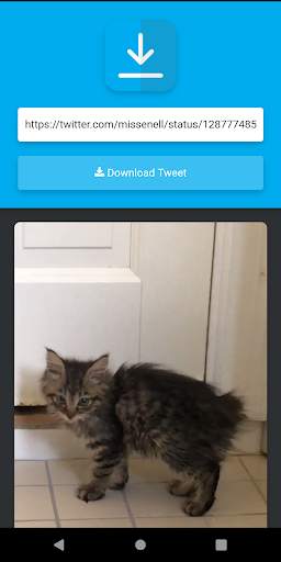 Video Download for Twitter (Free) screenshot 1