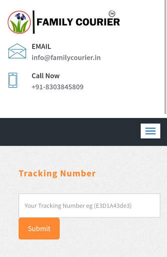 Family Courier screenshot 3