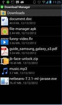 My Fast Download Manager-IDM screenshot 3