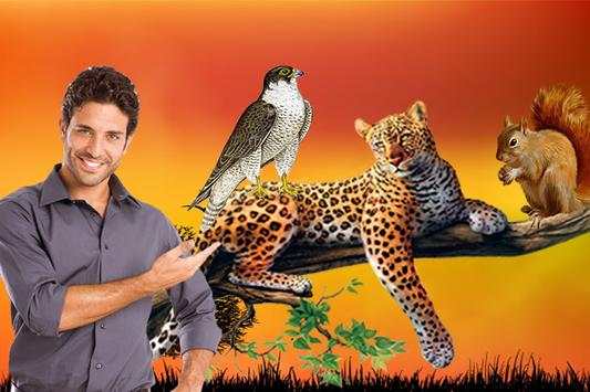 Wild Animals Photo Editor screenshot 2