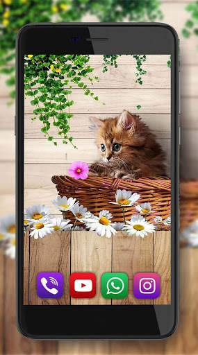 Kittens Lovely LWP screenshot 5