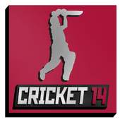 EHG CRICKET 14 1.0