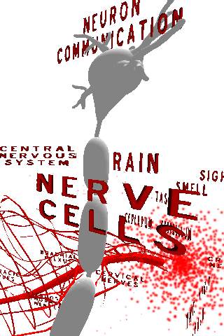 Nervous System 3D screenshot 4
