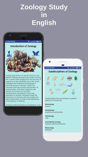 Zoology Study screenshot 3