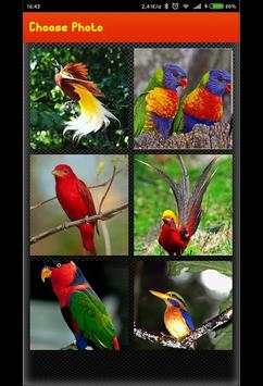 Picture Puzzle Game - Best Bird picture screenshot 2
