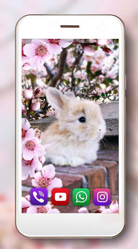 Bunny Fluffy Live Wallpaper screenshot 4