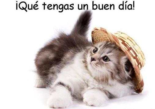 Buenos Dias screenshot 7