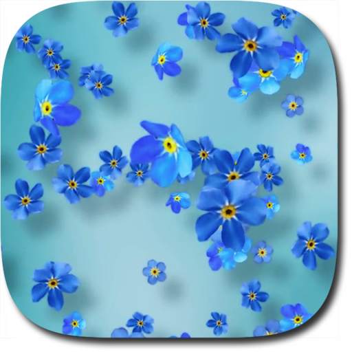 Spring Flowers Live Wallpaper 3.0