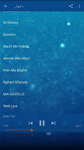 أغاني إبتسام تسكت بدون أنترنيت screenshot 2