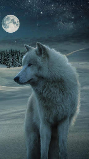 Wolf Wallpaper screenshot 3