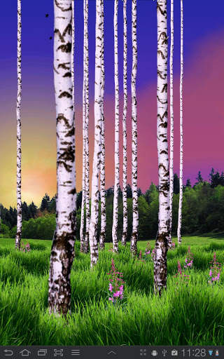 Birch Wood Free LWP screenshot 2