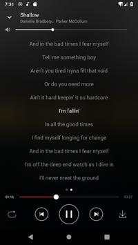 MP3 Downloader & Music Player screenshot 3