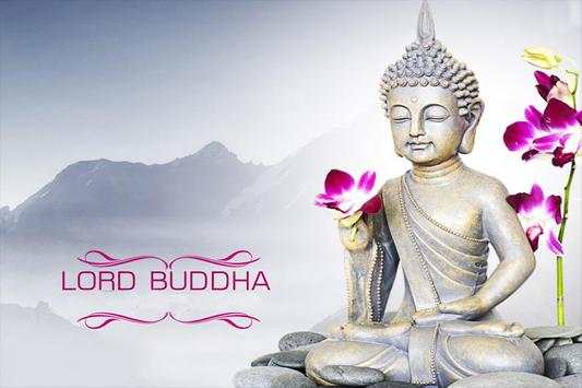 Buddha Wallpapers screenshot 7