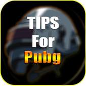 PRO TIPS PUBG 2019 1.0