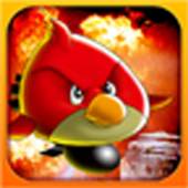 Angry Bomber 1.0