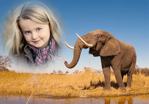 Animal Photo Frame screenshot 4