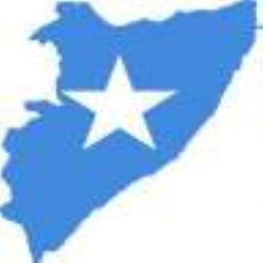 SomNews Pro icon