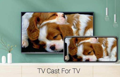 TV Cast Pro screenshot 6