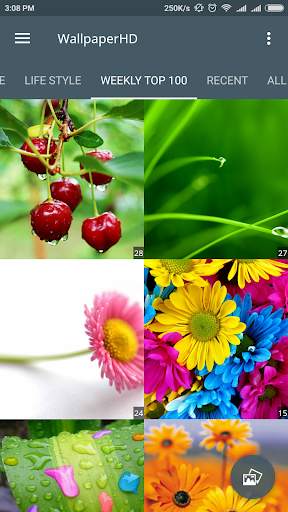 Wallpaper HD Background screenshot 3