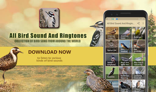 All Bird Sound And Ringtones screenshot 1
