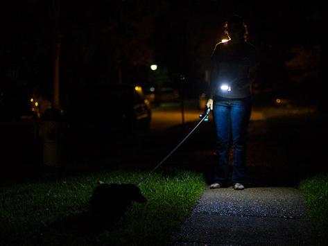 Torch：LED Flashlight screenshot 4