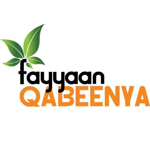 Fayyaan Qabeenyaa 1.0