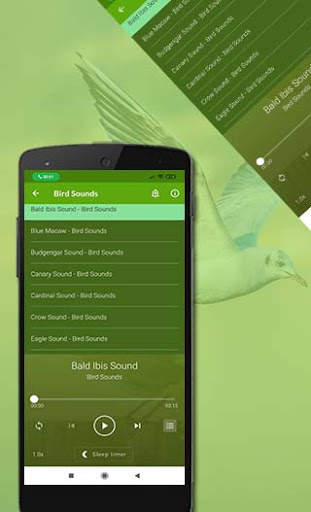 Bird Sounds स्क्रीनशॉट 4