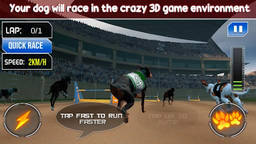 Dog Crazy Race Simulator 2021 screenshot 2