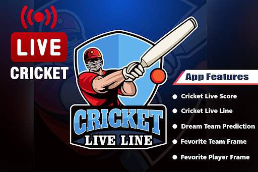 Dream Cricket 11 : Team Expert screenshot 1