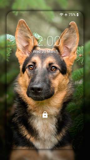 German Shepherd Wallpaper HD screenshot 4