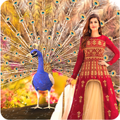 Peacock Photo Frames icon