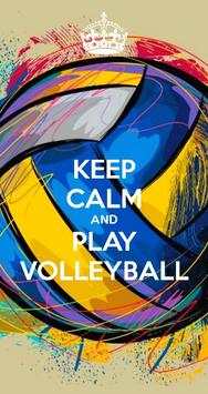 Play Volleyball screenshot 1