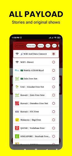 RJ CONNECT VPN screenshot 5