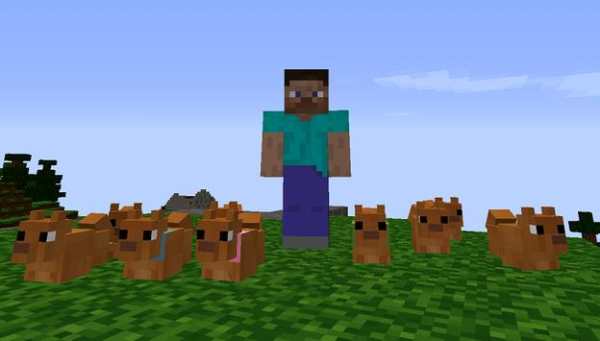 Mod Dog screenshot 1