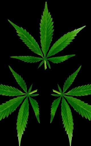 Rasta Weed Live Wallpaper screenshot 8