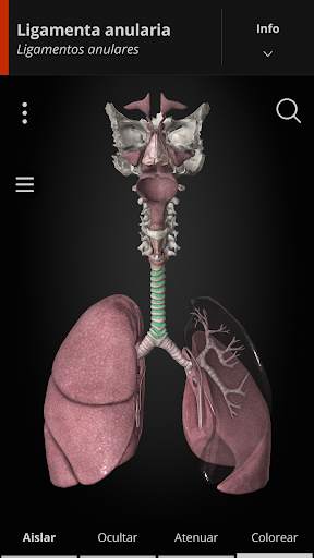 Anatomyka - Anatomía 3D screenshot 7