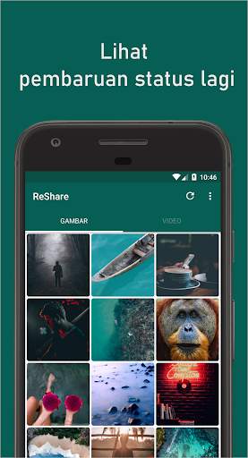 ReShare: Share atau Simpan Status untuk WhatsApp screenshot 1