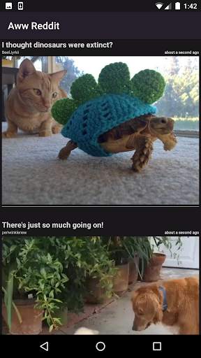 Aww Reddit screenshot 2