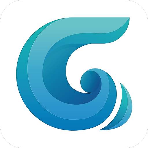 GEOMAX 2.16.2