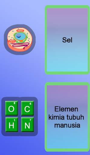 Anatomi screenshot 6