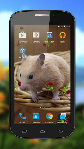 Hamster Live Wallpapers screenshot 1