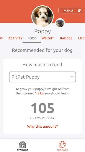 PitPat screenshot 4