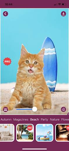 Cat Photo Editor screenshot 4