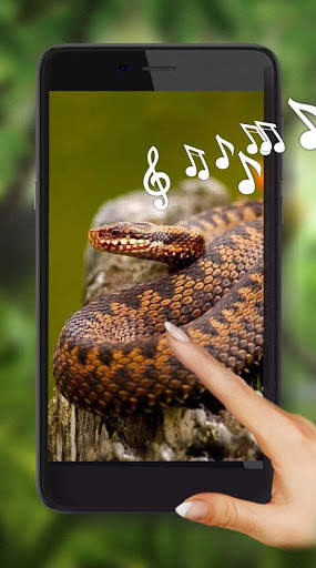 Snakes Best Live Wallpaper screenshot 1