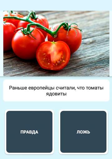 Правда или ложь - вопрос ответ скриншот 15