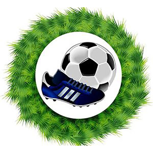 NS Fudbal icon