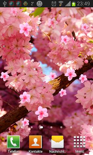 Sakura Live Wallpaper screenshot 3